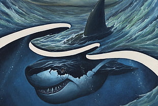 painting of shark, Protest the Hero HD wallpaper
