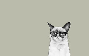grumpy cat illustration, minimalism