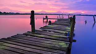 brown wooden dock, nature, dock