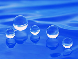 macro photography of water balls HD wallpaper