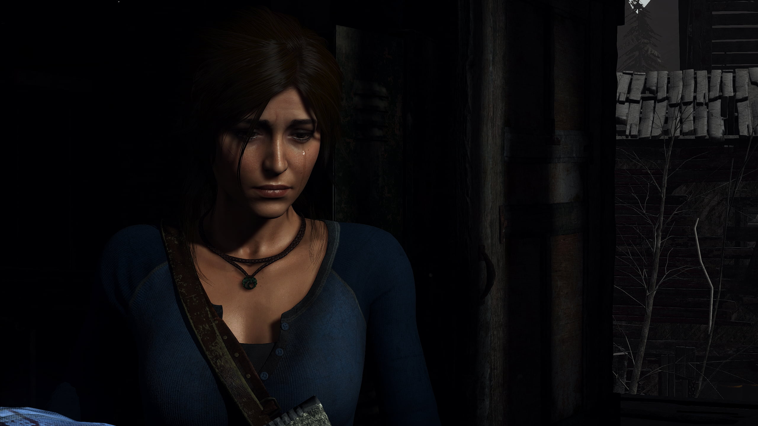 Tomb Raider game wallpaper, Rise of the Tomb Raider, Lara Croft