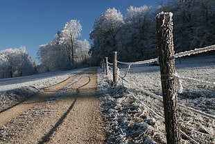 wooden fence covered with snow near the road HD wallpaper