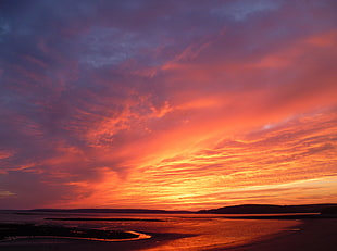 photographyt sea shore during sunset HD wallpaper