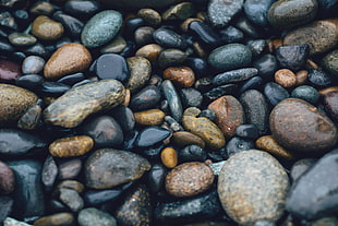 black and brown pebbles