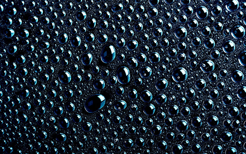 macro shot of water droplets HD wallpaper
