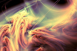multi-colored wallpaper, abstract, painting, fractal HD wallpaper