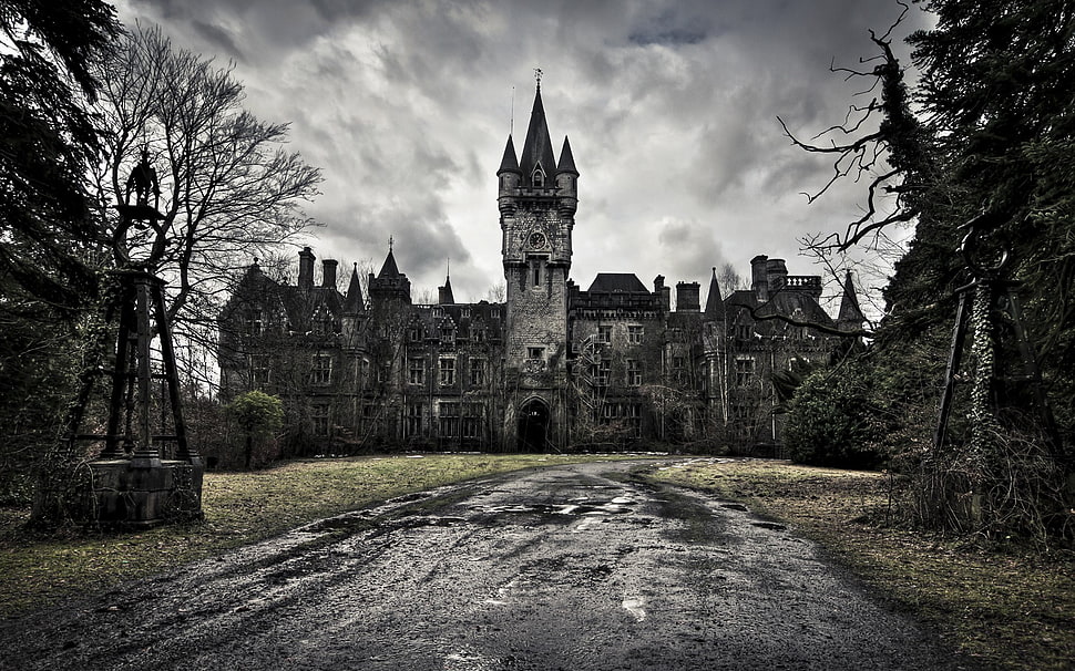 gray castle, castle HD wallpaper