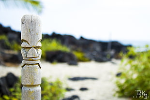grey wooden totem pole overlooking white sandy beach