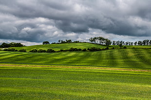 landscape photo of green field under cloudy sky