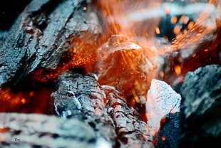 closeup photo of bonfire