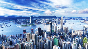 birds view of cityscape, city, building, Hong Kong
