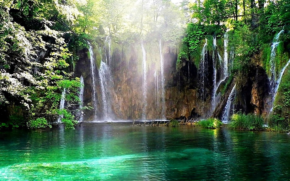 river water fall surrounded by tree poster HD wallpaper