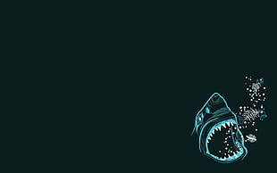 teal shark artwolrk, minimalism, shark, fish, bones