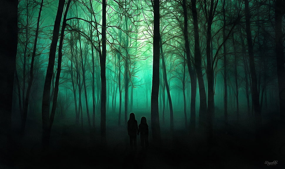 forest trail, trees, spooky HD wallpaper