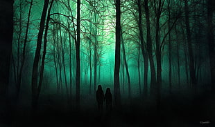 forest trail, trees, spooky