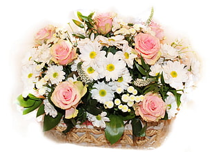 pink Rose and white Daisy bouquet