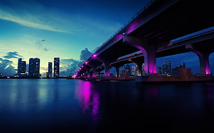 gray concrete bridge, city, urban, bridge, Miami