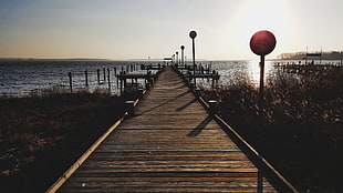 brown wooden dock, beach, landscape, sunrise, sunset