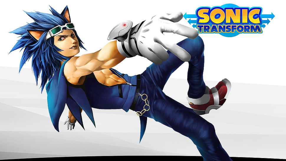 Sonic Transform illustration, Sonic, Sonic the Hedgehog, humanized HD wallpaper