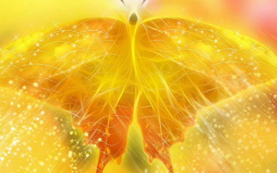 Butterfly,  Drawing,  Paint,  Light HD wallpaper