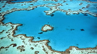 body of water HD wallpaper