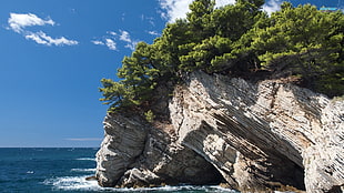 rock cliff with trees near body of water