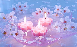 three pink flower candles