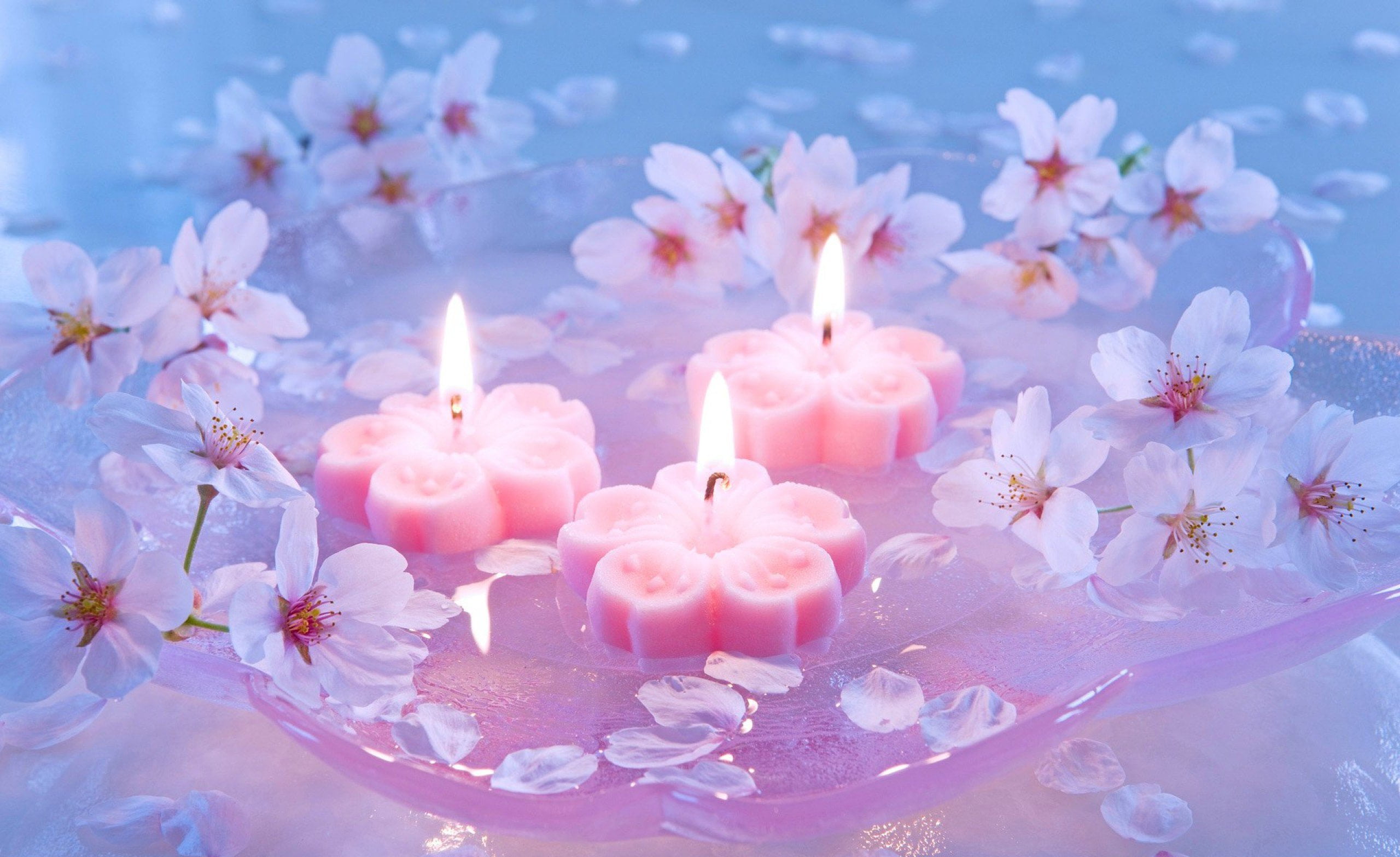 Wallpaper Candle, Pink, Lighting, Purple, Violet, Background - Download  Free Image