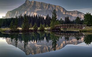 gray bridge surrounded by pine trees near mountain