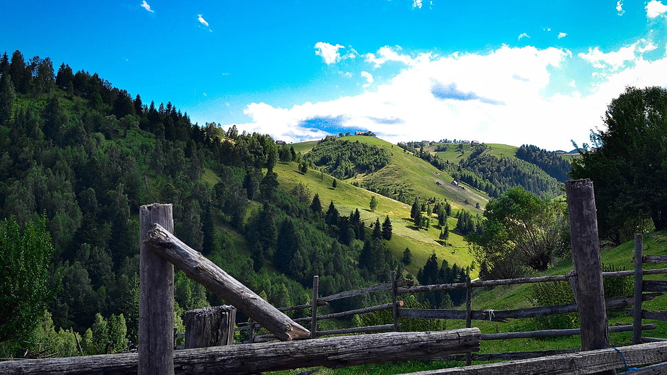 gray wooden fence, green, sky, Transylvania, trees HD wallpaper