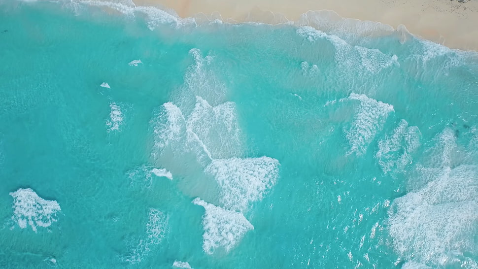 green and white floral textile, coast, waves HD wallpaper