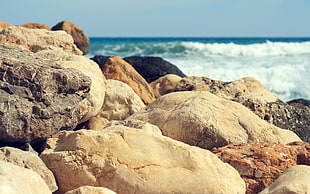 brown rocks, nature, coast, sea, stones