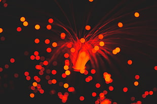 bokeh photography of red lights