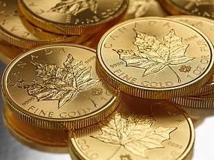 round gold-colored Canadian coins, Canada, macro, gold, money