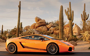 orange Lamborghini Gallardo coupe, car, orange cars, cactus, rock