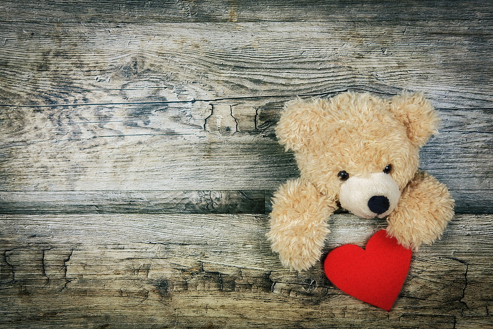brown teddy bear, Teddy bear, Heart, Valentines day HD wallpaper