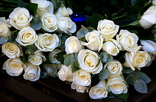 two bouquets of white roses