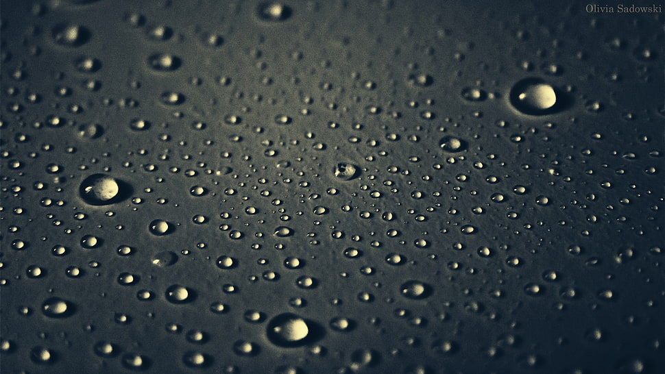 micro photography of water drops HD wallpaper