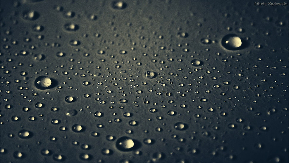 micro photography of water drops HD wallpaper
