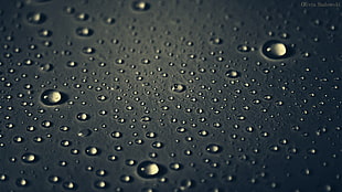 micro photography of water drops