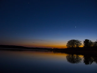 silhouette of trees near on body of water during nighttime HD wallpaper