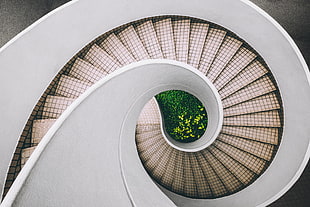 gray and white spiral stair case HD wallpaper