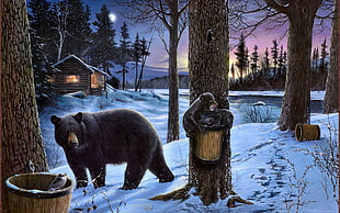gray bear near tree trunk HD wallpaper