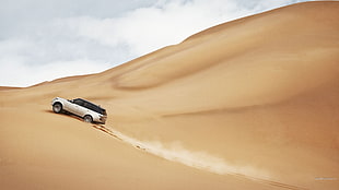 brown and black fishing rod, Range Rover, desert, car, vehicle