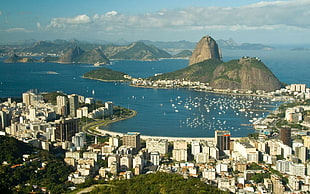 birdeye view of city near sea HD wallpaper