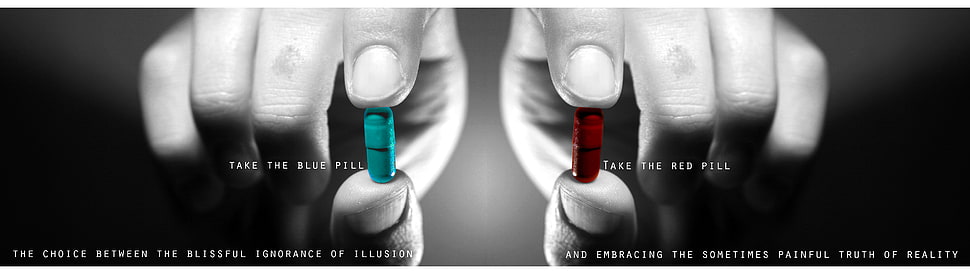 take the blue pill and take the red pill HD wallpaper