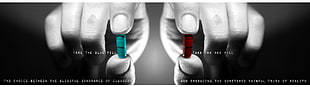 take the blue pill and take the red pill HD wallpaper