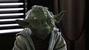 Yoda from Star Wars, Star Wars, Yoda HD wallpaper