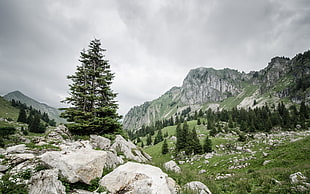 mountain landscape, landscape, nature HD wallpaper