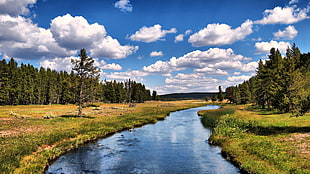 river during daytime ' HD wallpaper